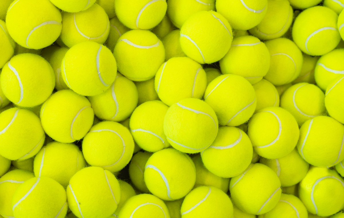 shutterstock 1389064688 4